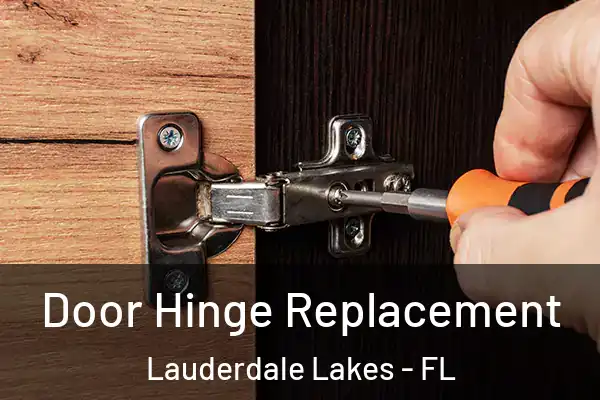 Door Hinge Replacement Lauderdale Lakes - FL